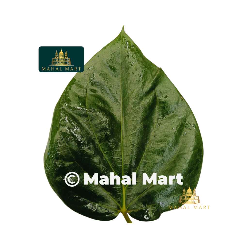 Fresh Jangsem Kuensel Betel Leaves/ Pan ko Paat 10pcs