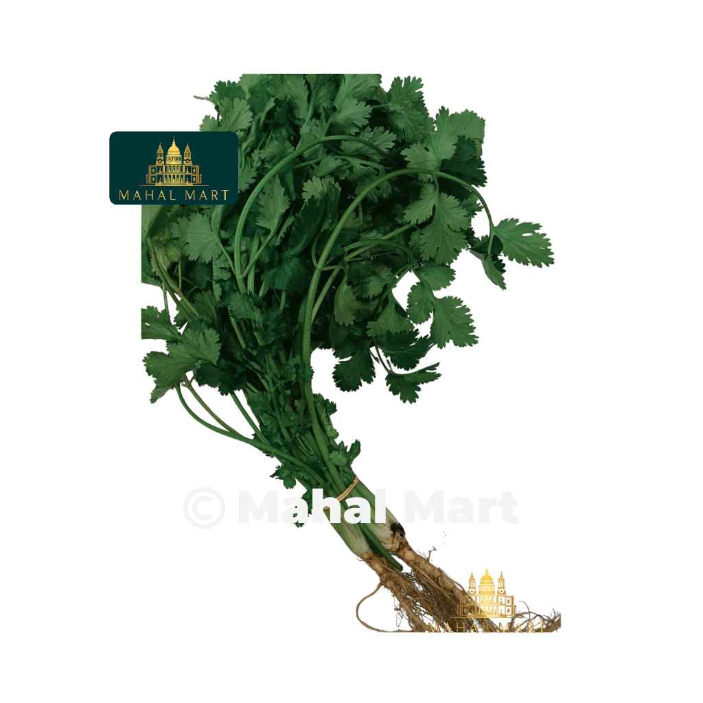 Coriander Bunch